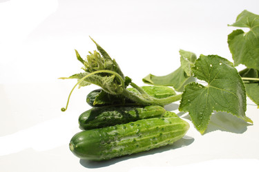 Similar image 207751