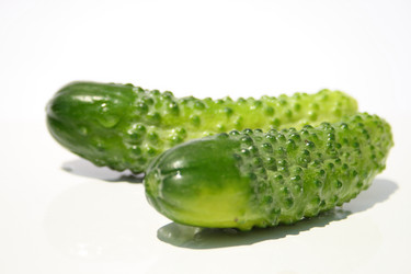 Similar image 207753