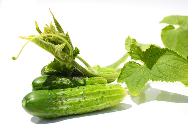 Similar image 207760