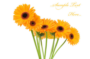 Similar image 207822