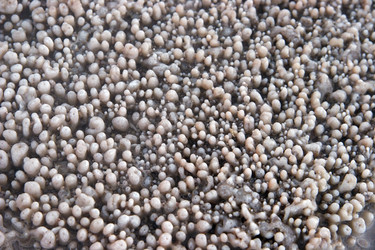 Similar image 207846