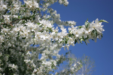 Similar image 207859