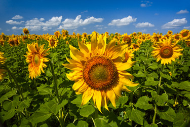 Similar image 207921