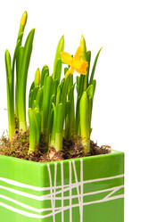 Similar image 208014