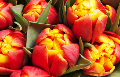 Similar image 208016