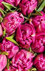 Similar image 208017