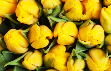 Similar image 208021