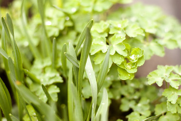 Similar image 208040