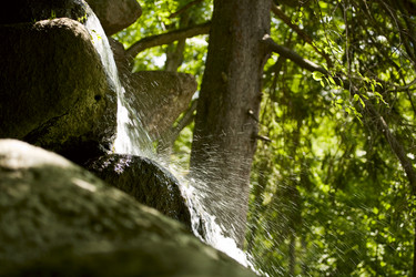 Similar image 208071