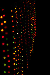 Similar image 208115