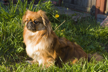 Similar image 208138