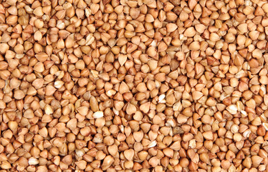 Similar image 208164