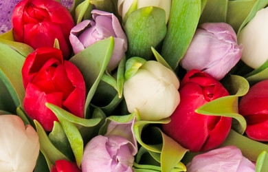 Similar image 208192