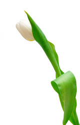 Similar image 208194