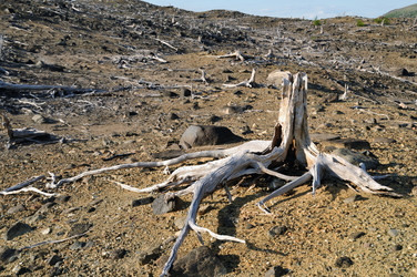 Similar image 208200