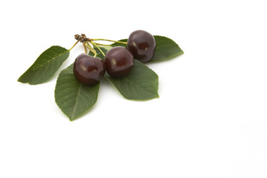 Similar image 208224