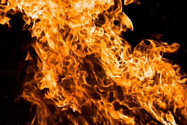 Similar image 208263