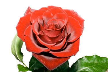 Similar image 208268