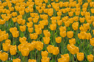 Similar image 208289