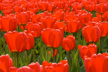 Similar image 208291