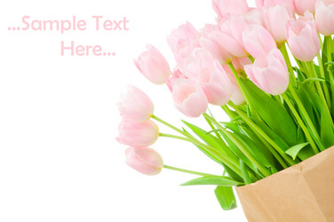 Similar image 208301