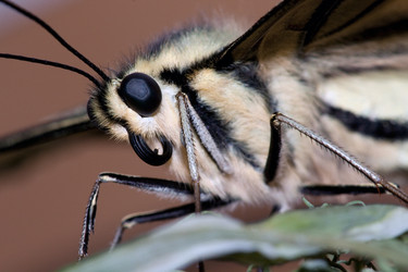 Similar image 208314