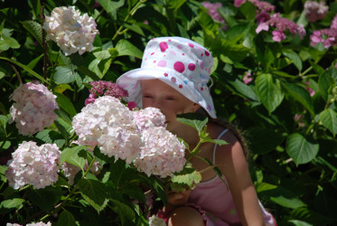 Similar image 208319