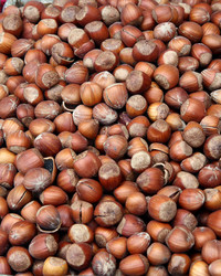 Similar image 208343