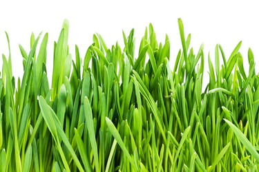 Similar image 208371