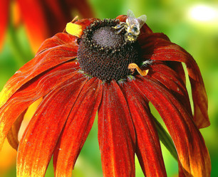 Similar image 208373