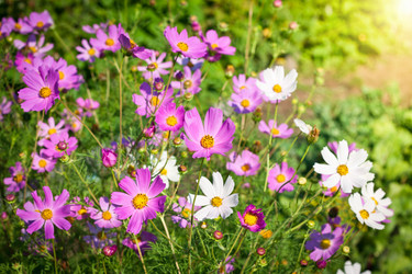 Similar image 208394