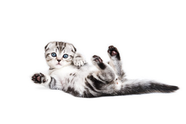 Similar image 208402