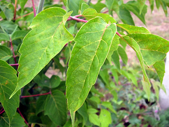 Similar image 208409