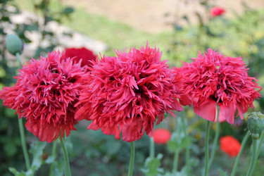 Similar image 208412