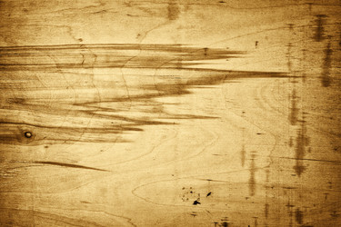 Similar image 208450