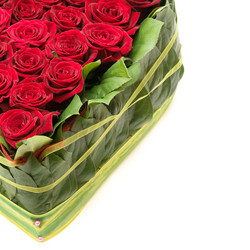 Similar image 208456