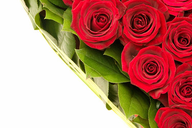 Similar image 208457