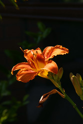 Similar image 208494