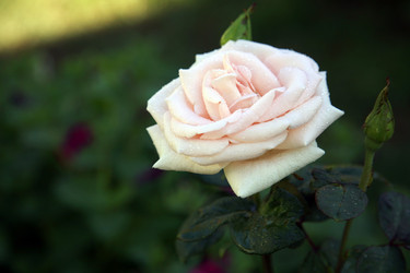 Similar image 208500