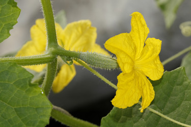 Similar image 208501