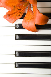 Similar image 208509