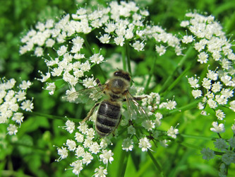 Similar image 208511