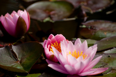 Similar image 208514