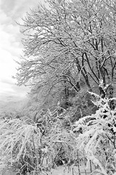 Similar image 208517