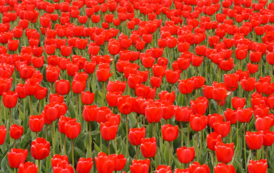 Similar image 208525