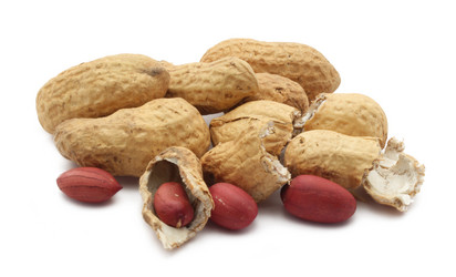 Similar image 208526