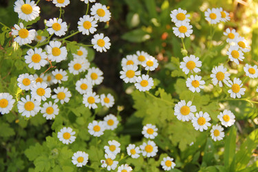 Similar image 208535