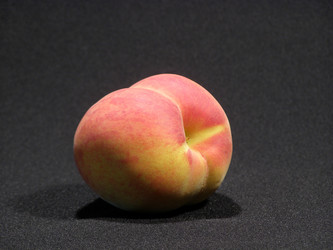 Similar image 208537