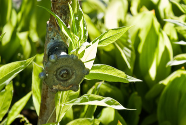 Similar image 208551