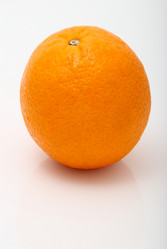 Similar image 208559